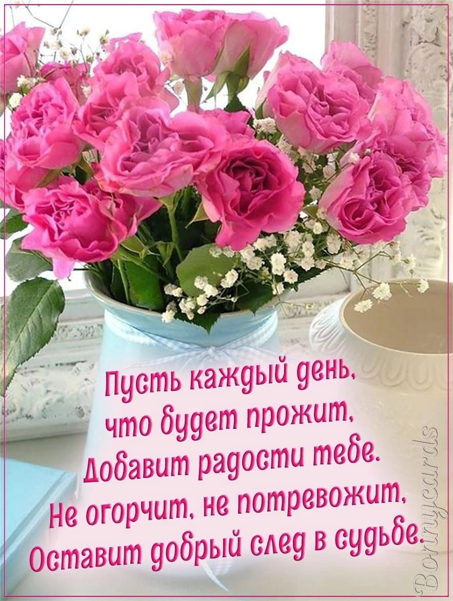 1усьажоыйоень что быыеш роз Щш ДООЗВШГЬ ЭПОСШЫСь 08130 ЖЦШ шорты не но Осы ави 906рый се си9ьб А