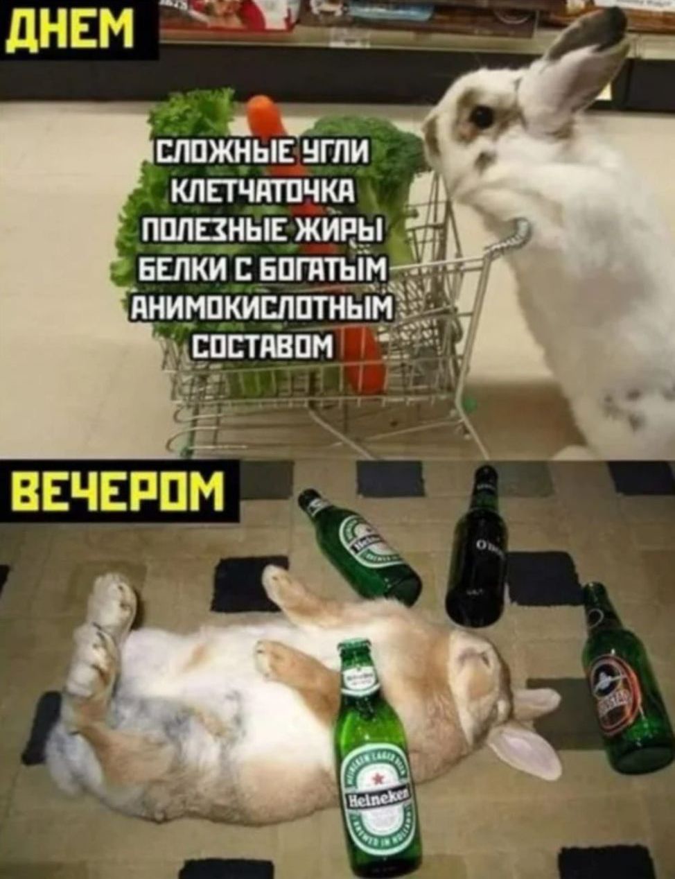 КЛЕТЧАТОЧКА ПОЛЕЗНЫЕ ЖИРЫ