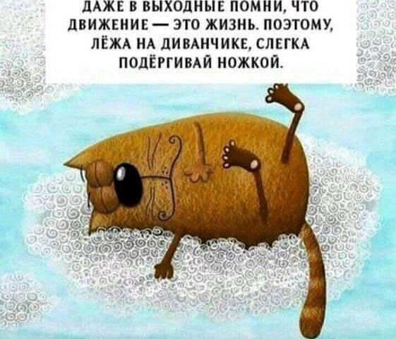 ЛАЖЕ В ВЫХОДНЫЕ ПОМНИ ЧТО ДВИЖЕНИЕ _ 310 ЖИЗНЬ ППЭТОМХ ЛЁЖА НА ПИВАНЧИКЦ СЛЕГКА ПОЦЁРГИВАЙ НОЖКОЙ