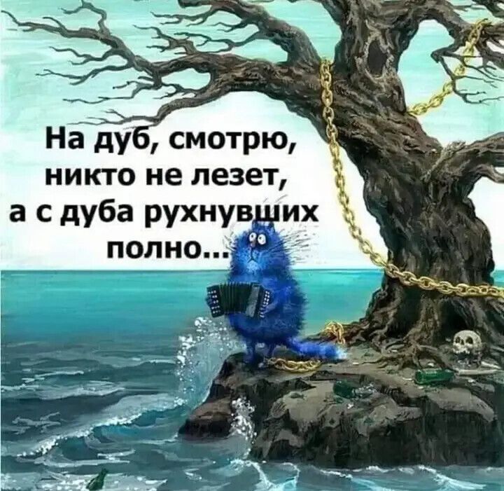 Нёду смотрю никто не лезет а с дуба рухнув__ их