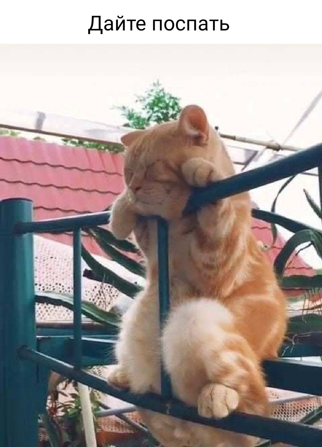 Ь Т 8 П с О П 6 Т Й 8 Д