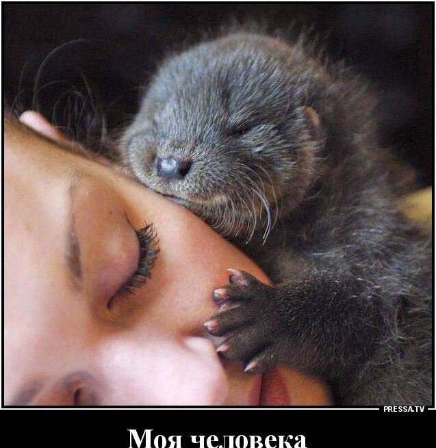 Моя человека