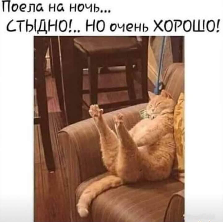 села на ночь ТЫДНО НО очень ХОРОШО