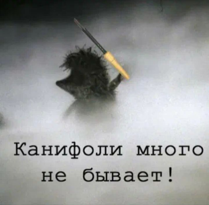 Канифоли много не бывает і