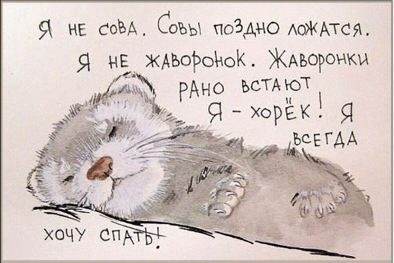 Я не Сом Совы ПОЗАНО АОЖАТСЯ я на жАворсюК ЖАъоронки РАНО ъсТАюТ _ Я ХоРЕК Я ъсЕГАА