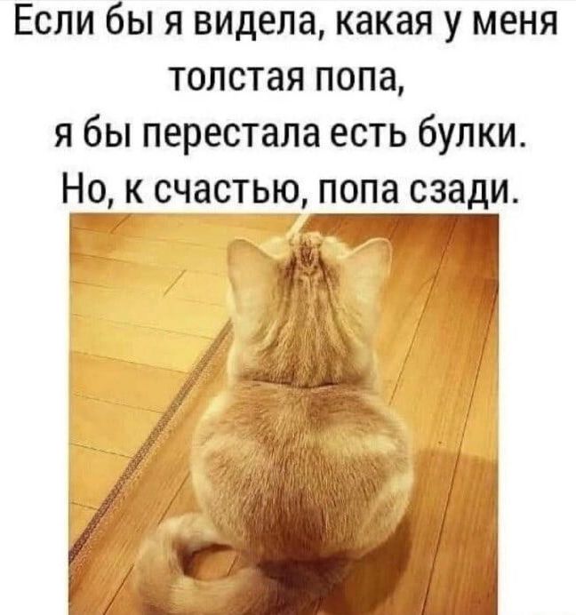 Если бы я видела какая у меня толстая попа я бы перестала есть булки Но счастью попа сзади Г