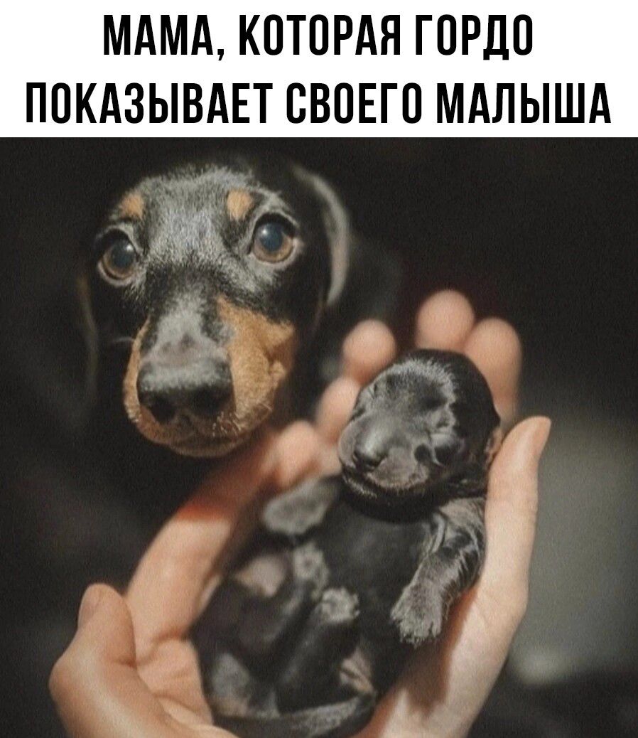 МАМА К0Т0РАЯ ГОРДП П0КА3ЫВАЕТ ВВПЕГП МАЛЫША