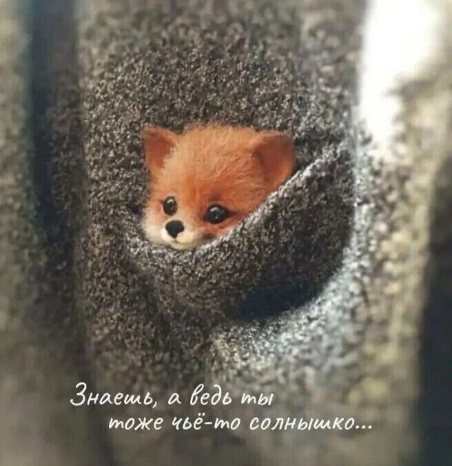 Зияешь А Кедьыіі _ таже чьёмд сдлмьшк