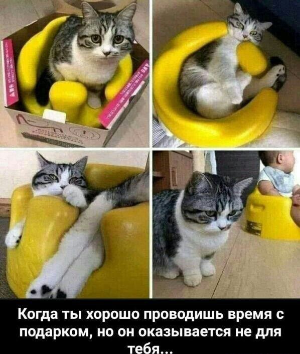 Когда ты хорошо проводишь время подарком но он оказывается не для тебя