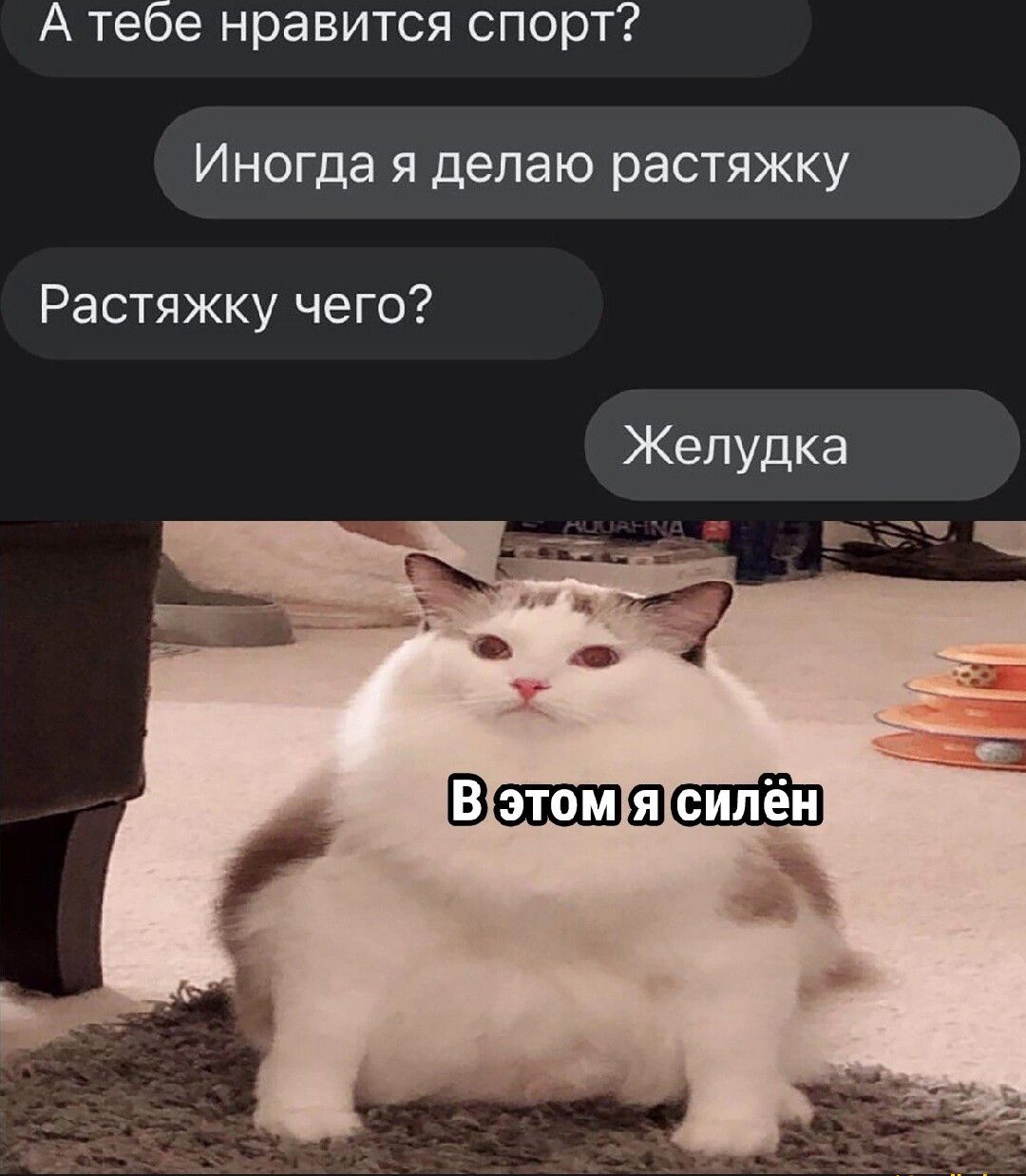 А тебе нравится спорт Иногда я делаю растяжку Растяжку чего Желудка вшешёш