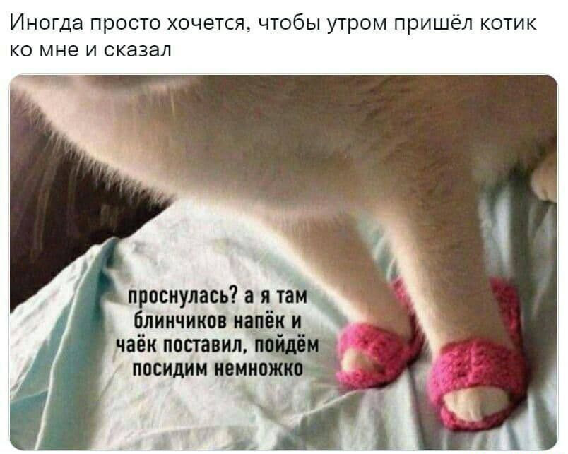 Иногда просто хочется чтобы утром пришёл котик ко мне и сказал прпсиулш в я им блинчики или и чіёк пппапип насилии ипмип