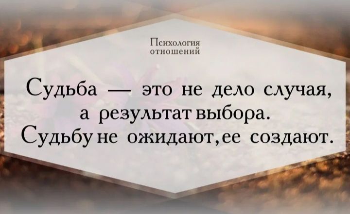 пщ Судьба это не дело случая 5 резуАьтат выбора Судьбу не ожидают ее создают