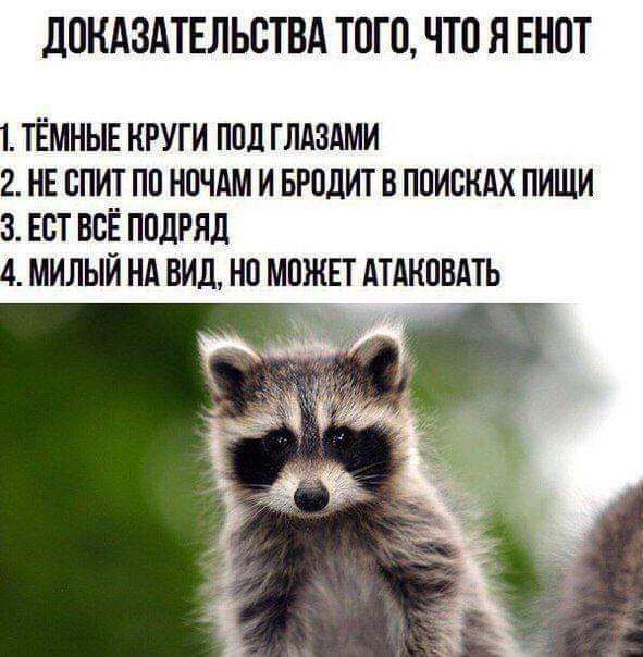 дПКАЗАТЕЛЬСТВА ТПГП ЧТО Я ЕНОТ 1 ТЁМНЫЕ КРУГИ ППЦ ГЛАЗАМИ 2 НЕ БПИТ ПП ИОЧАМ И БРОДИТ В ПОИСКАХ ПИШИ 3 ЕВТ ВСЁ ПВЛРЯЛ 4 МИЛЫЙ НА ВИД НП МОЖЕТ АТАИПВАТЬ
