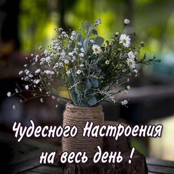 Ё Чудесно Литраж на тв дель