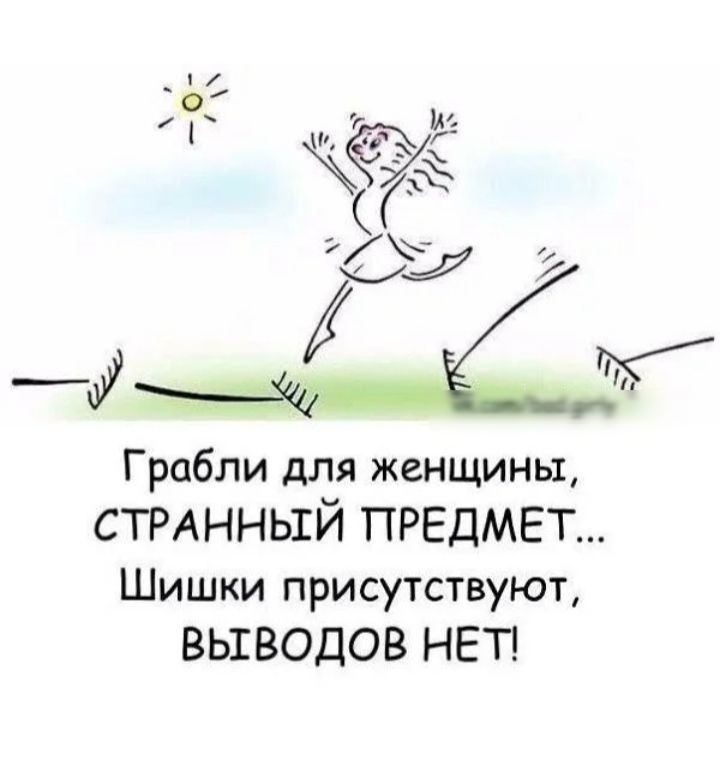 Грабли для женщины стинньгй ПРЕДМЕТ Шишки присутствуют ВЬШВОДОВ НЕТ