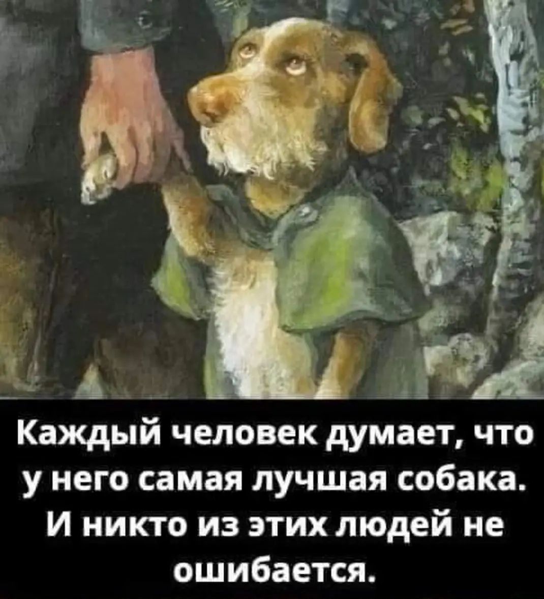 Каждый человек думает что у него самая лучшая собака И никто из этих людей не ошибается