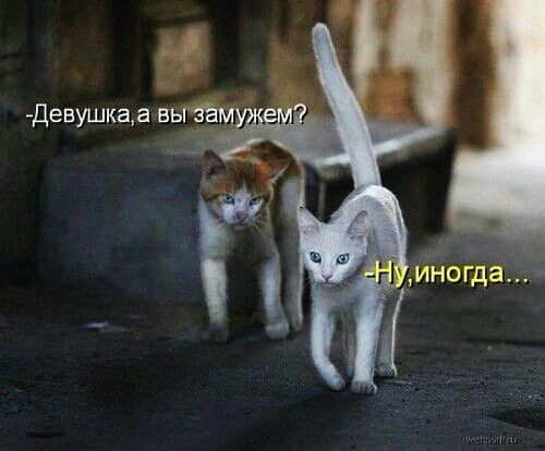 Девушкала ввы