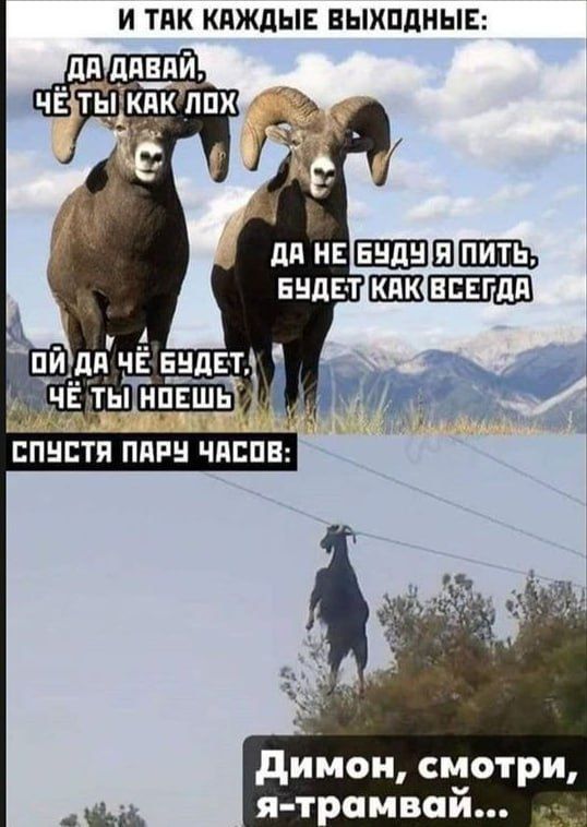 И ТПК КПЖДЫЕ ВЫХПДНЫЕ