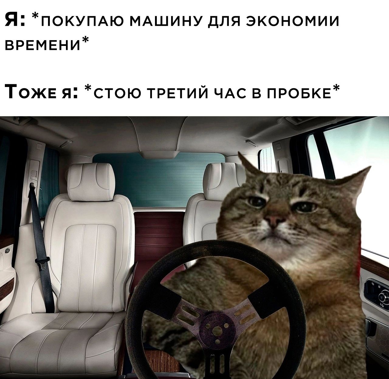 Я покупАю МАШИНУ для экономии времени ТОЖЕ я стою третий ЧАС в провкв Д