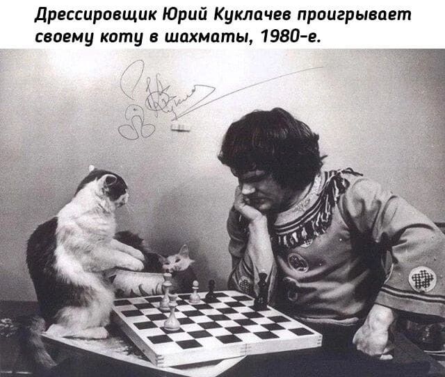 Дрессировщик Юрий Куклачев проигрывает своему ищу в шахматы 1980 е