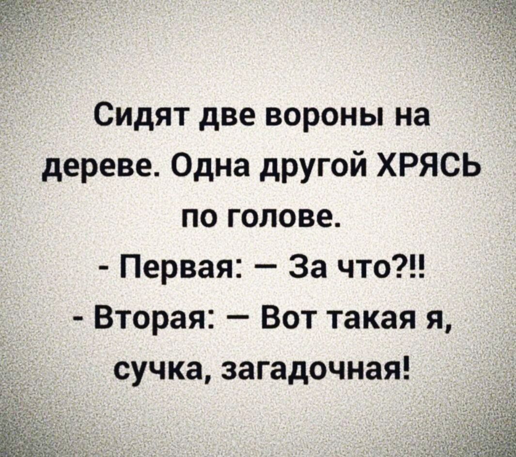 Сидят две вороны на дереве Одна другой ХРЯСЬ по голове Первая За что Вторая Вот такая я сучка загадочная