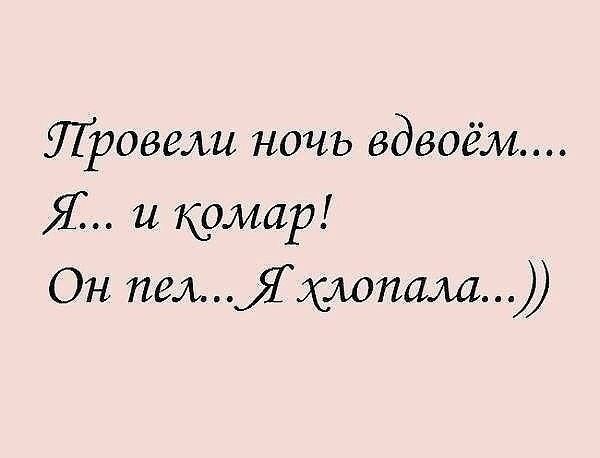 Провели ночь вдвоём Я и комар Он пелхлопам