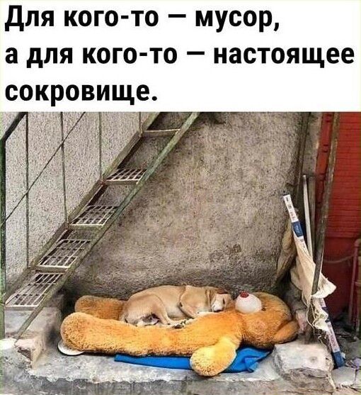 для кого то мусор а для кого то настоящее сок овище