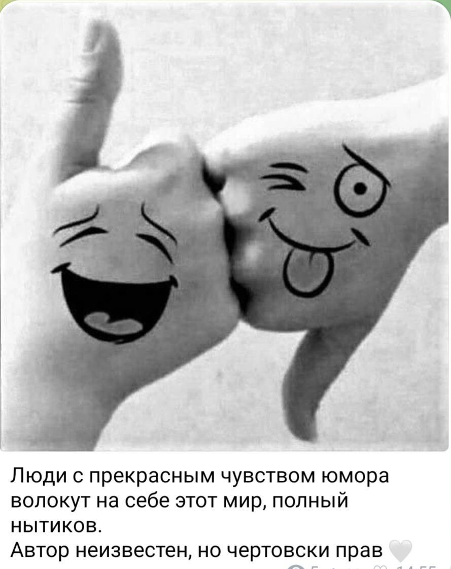 Люди с прекрасным чувством юмора вопокут на себе этот мир полный нытиков Автор неизвестен но чертовски прав