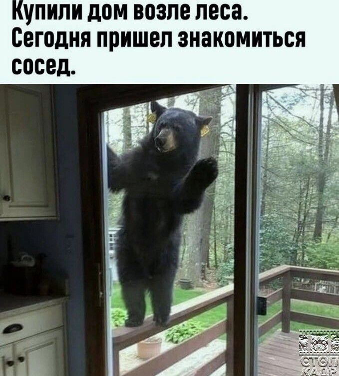ПИПИ дПМ возле леса Сегодня ПРИШЕЛ ЗНЗКОМИТЬСЯ сосед