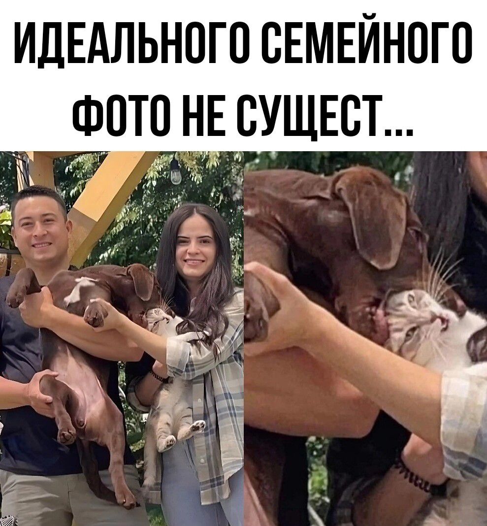 идЕАльногпсЕМЕиНпго _ Фвтпгнв УЩЕВТ