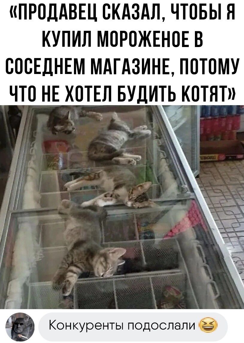 ПРОДАВЕЦ СКАЗАЛ ЧТОБЫ Я КУПИЛ МПРПЖЕНПЕ В БПСЕДНЕМ МАГАЗИНЕ ПОТПМУ ЧТО НЕ ХОТЕЛ БУДИЦ КПТЯТ А Конкуренты подоспели