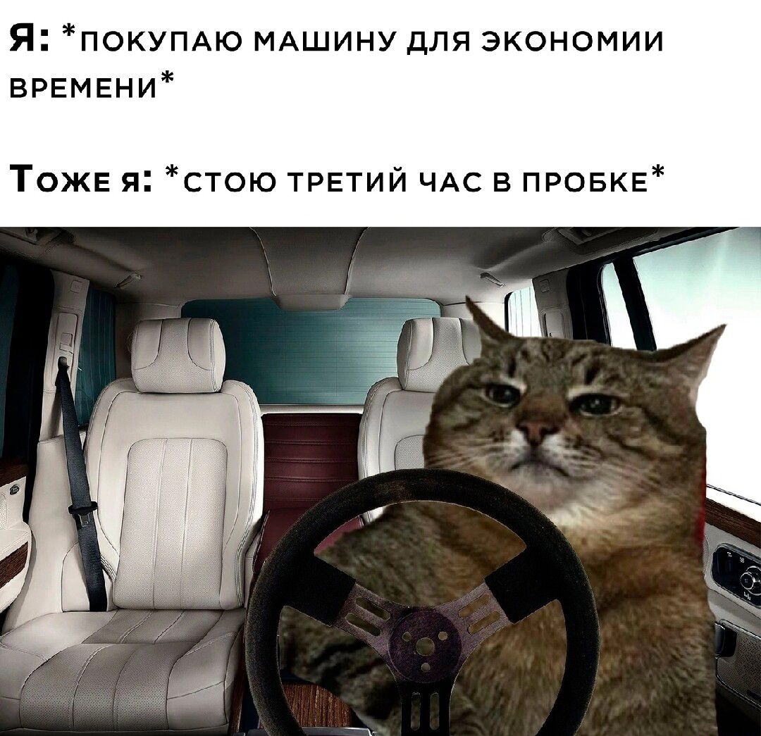 Я покупАю МАШИНУ для экономии времени ТОЖЕ я стою ТРЕТИЙ чм в провиЕ