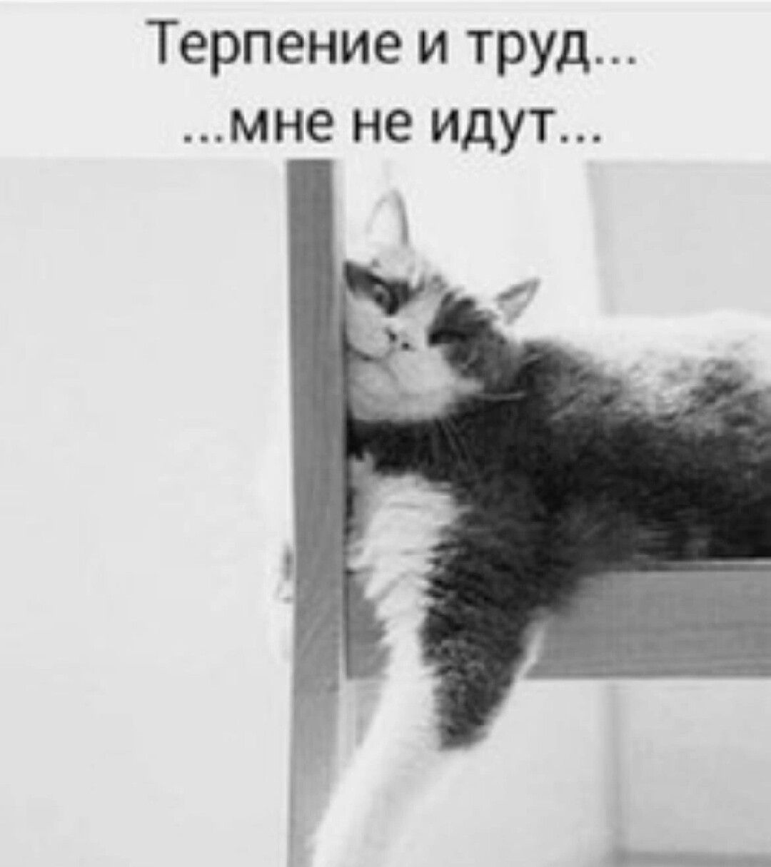 Терпение и труд мне не идут