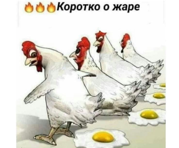 Коротко о жаре