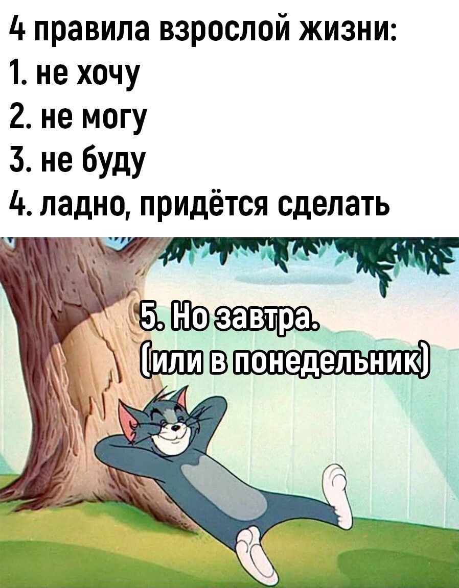 4 правила взрослой жизни 1 не хочу 2 не могу 3 не буду 4 ладно придётся сделать