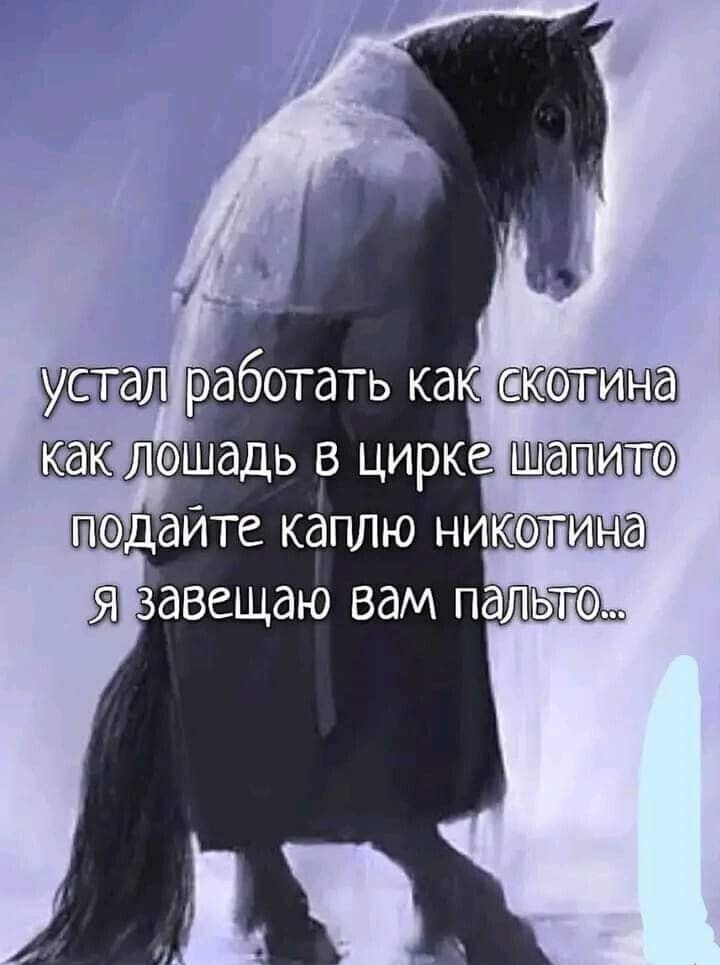 Ёшлэшадь в цирке падайте каплю никот за завещаю вам па
