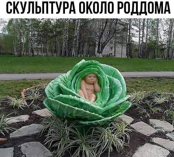 скул ПТУ околпр ддр А