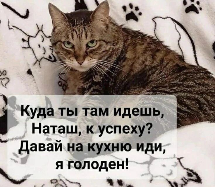 Куда ты там идешь Наташ к успеху давай на кухню иди я голоден Ё чъж