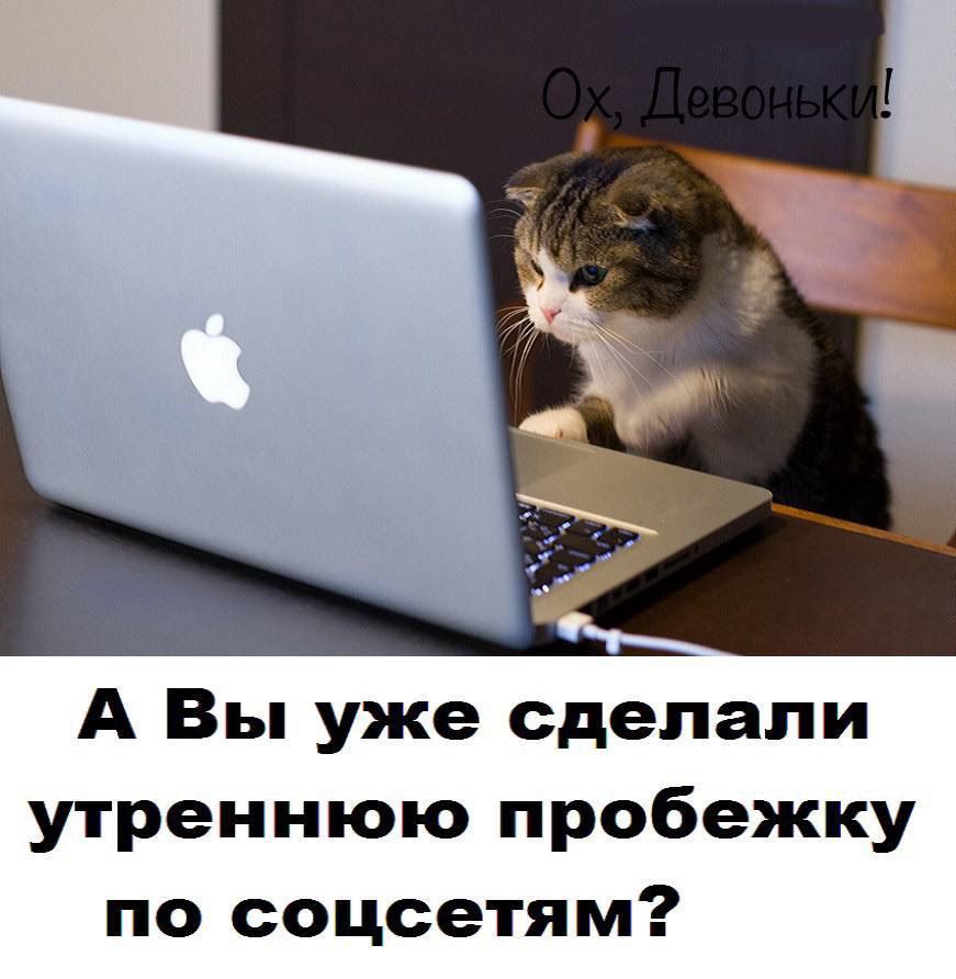А Вы уже сделали утреннюю пробежку по соцсетям