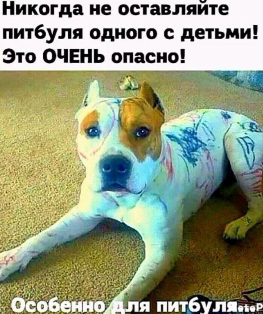 Никогда не оставляйте питбуля одного с детьми Зто ОЧЕНЬ оп