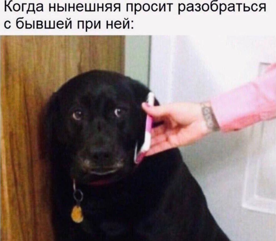 Когда нынешняя просит разобраться с бывшей при ней