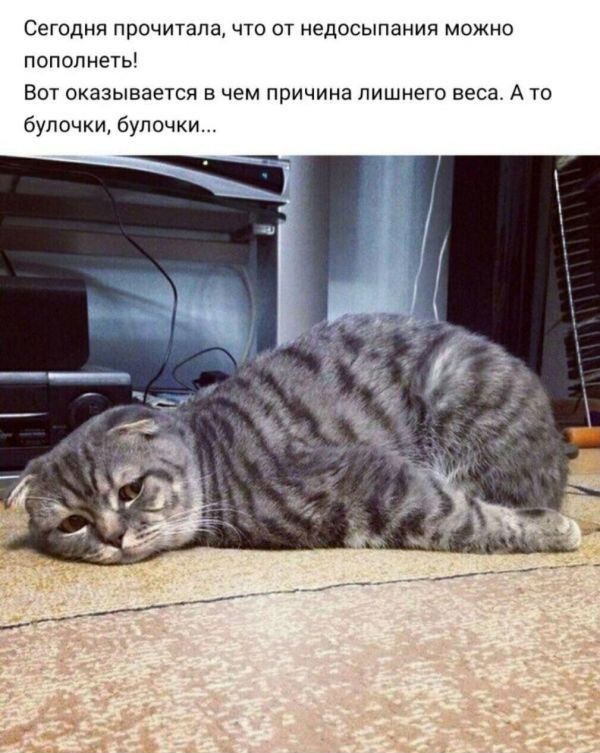 Сегодня прочитана что от недосыпаиия можно ПОПОЛМЕТЫ аот оказывается в чем причина лишнего веса А то булочки булочки