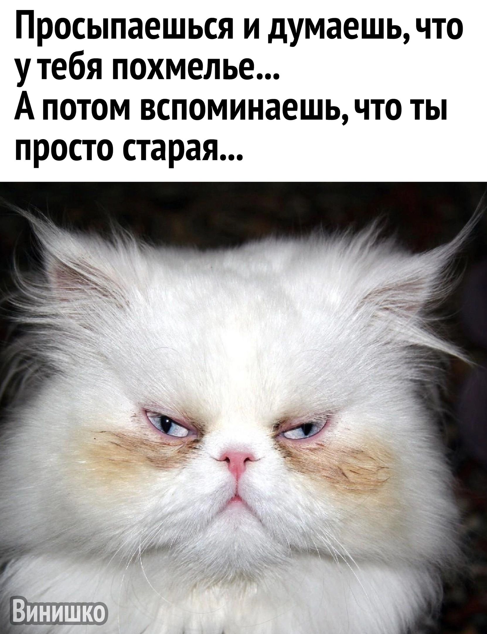 Просыпаешься и думаешь что утебя похмелье А потом вспоминаешь что ты просто старая