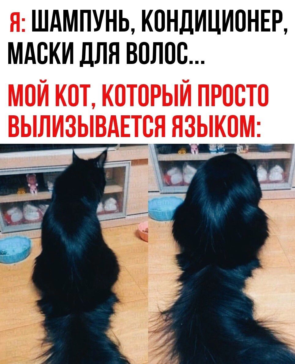 ШАМПУНЬ КОНДИЦИОНЕР МАСКИ ДЛЯ ВОЛОС