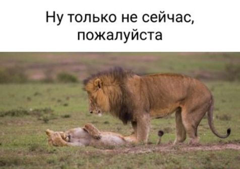Ну только не сейчас пожалуйста