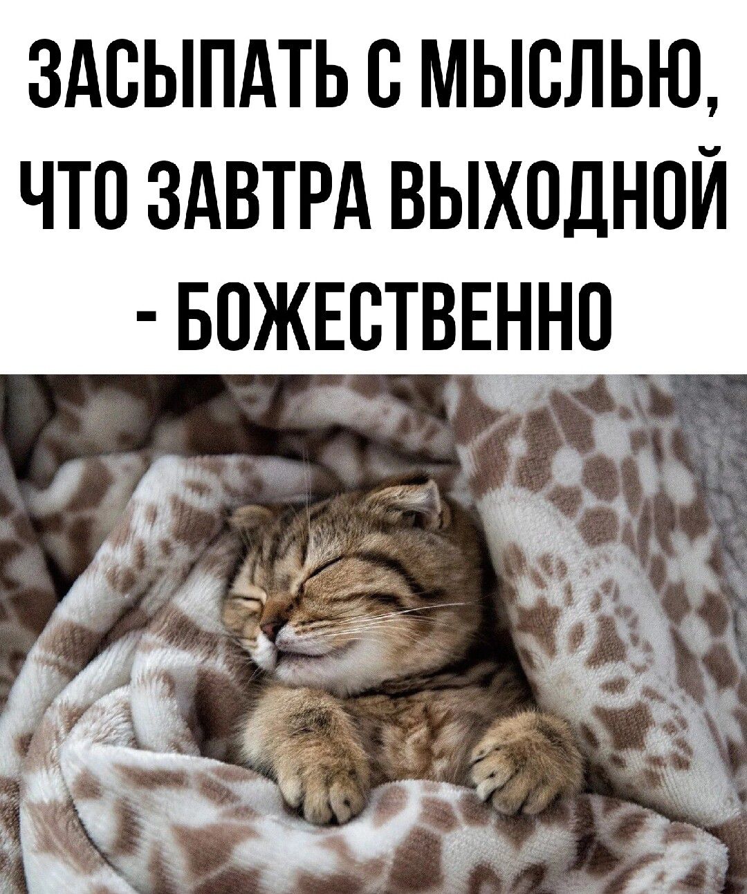 ЗАВЫПАТЬ В МЫВЛЬЮ ЧТП ЗАВТРА ВЫХОДНПЙ БПЖЕВТВЕННЦ