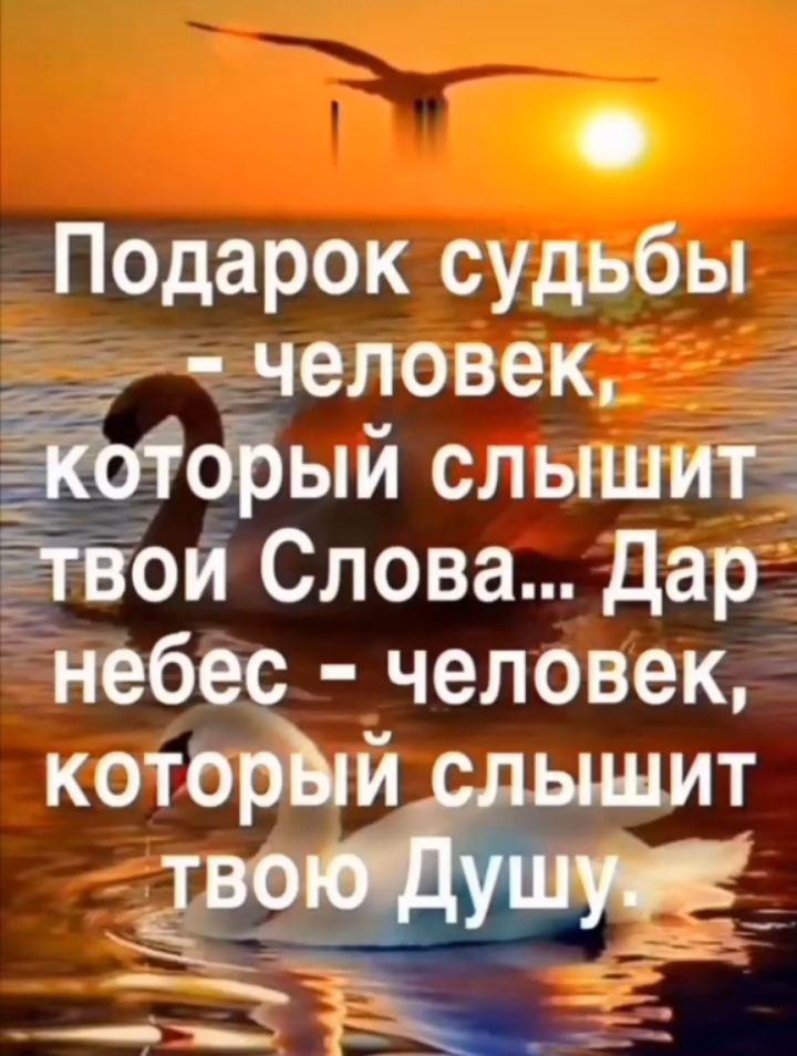 Подарок судьбы ъцеловек Ё фый слышиЁ ой Слова дар неб человек кото й