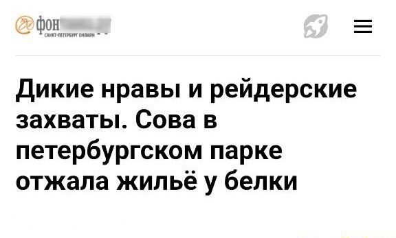 ФПП Е Дикие нравы и рейдерские захваты Сова в петербургском парке отжала жильё у белки
