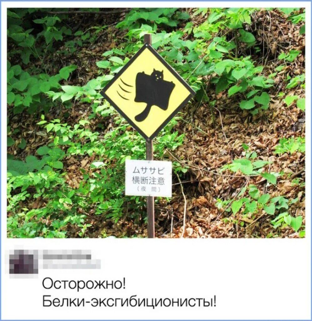 Осторожно Белкиэксгибиционисты