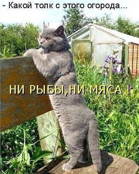 Какой толк с этого огорода